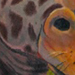 Tattoos - Giraffe - 27590